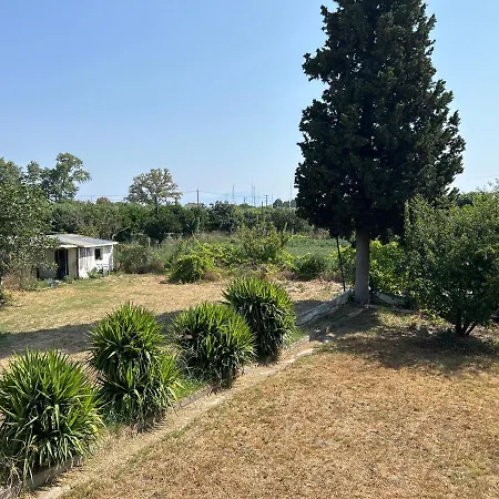 Βίλα Θαλεια Káto Lekhónia Exterior photo