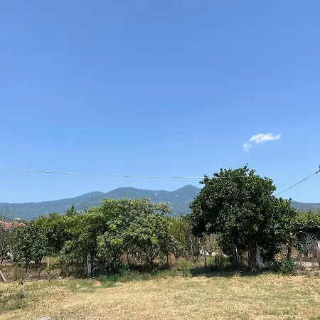 Βίλα Θαλεια Káto Lekhónia Exterior photo