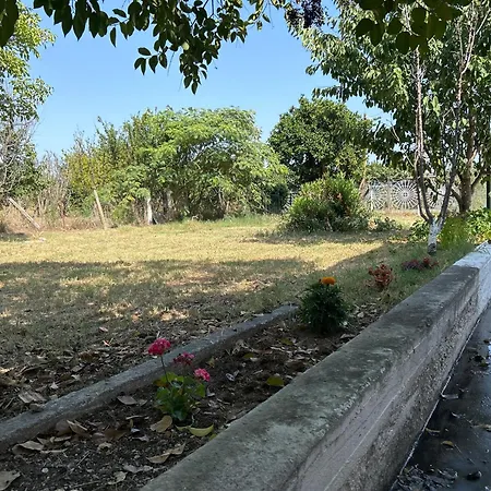 Βίλα Θαλεια Káto Lekhónia Exterior photo