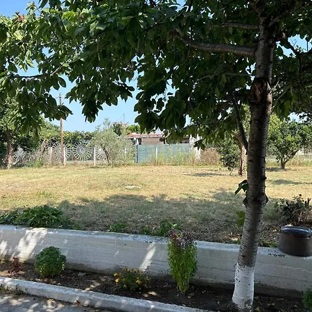 Βίλα Θαλεια Káto Lekhónia Exterior photo
